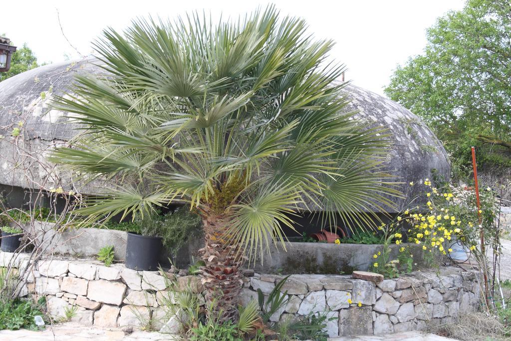 Villa La Scaletta Alghero Oda fotoğraf