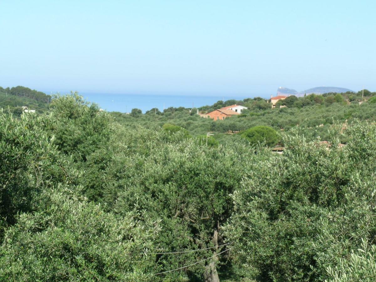 Villa La Scaletta Alghero Dış mekan fotoğraf